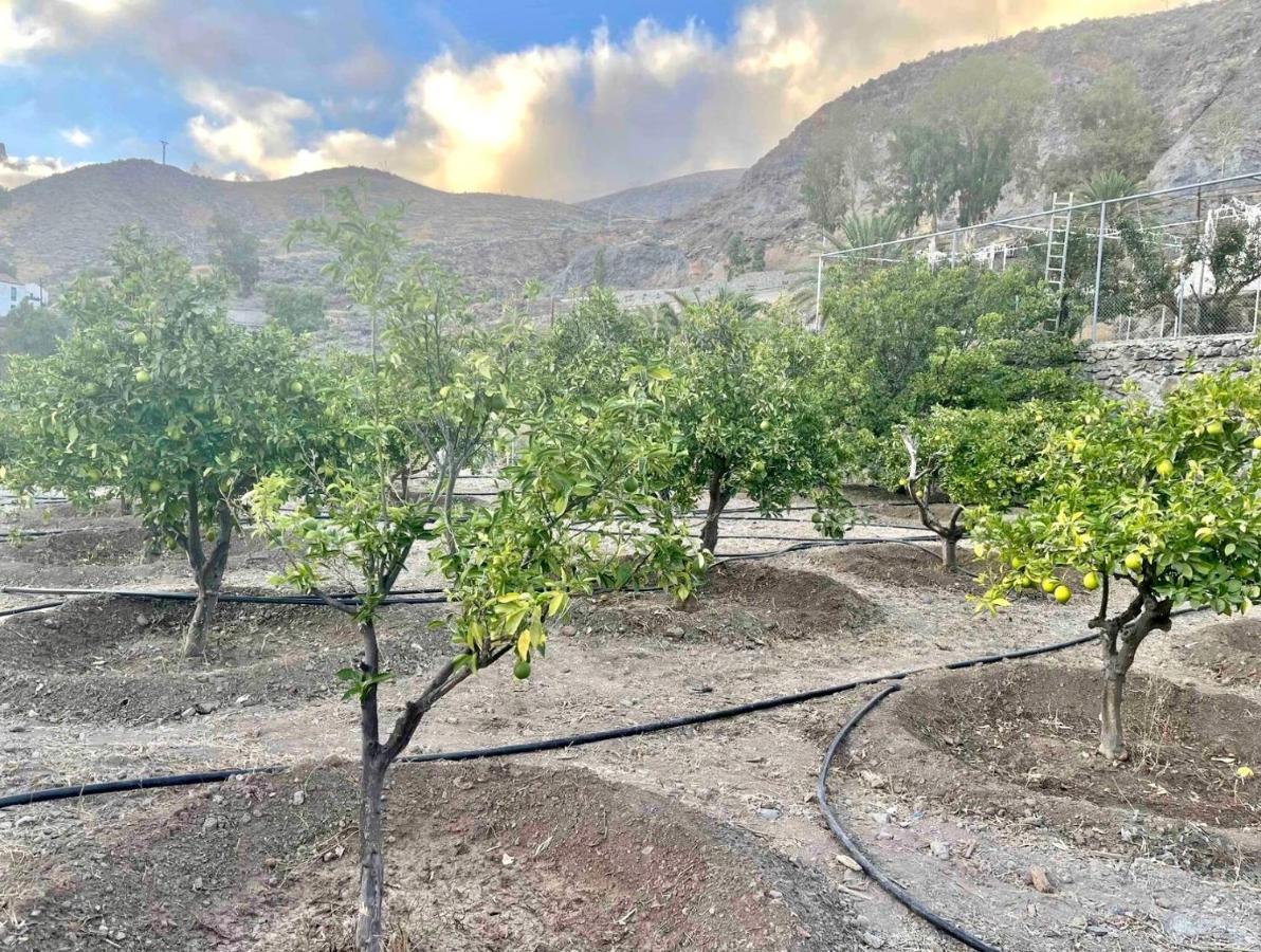 Casa Rural La Limera Con Piscina Privada Santa Lucia Екстериор снимка